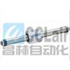 QGCWSA40,QGEW-2RSB20,QGEW-2RSB25,QGEW-2RSB32,QGEW-2RSB40,磁性無(wú)活塞桿氣缸
