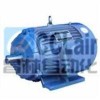 Y80-160,Y180-225,Y250-315,三相異步電動機(jī)