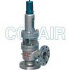 A40Y-64C，A40Y-64I，A40Y-100C，A40Y-100I，帶封閉散熱器彈簧全啟式安全閥