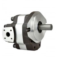 G5-5,G5-6,G5-8,G5-12-1E13S-20-R,G5-10,G5-12,G5-16,G5-30-1E13S-20R，G5-20,G5-25,G5-30,G5-25-A13S-20-R，單聯(lián)齒輪泵
