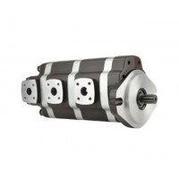 G5-25-20-12-08-1E13S-20L，G5-12-8-6-AH15S-20-L，G5-8-8-10-1E13S-20R,G5-25-10-10-1E13S-20R，多聯(lián)高壓齒輪泵